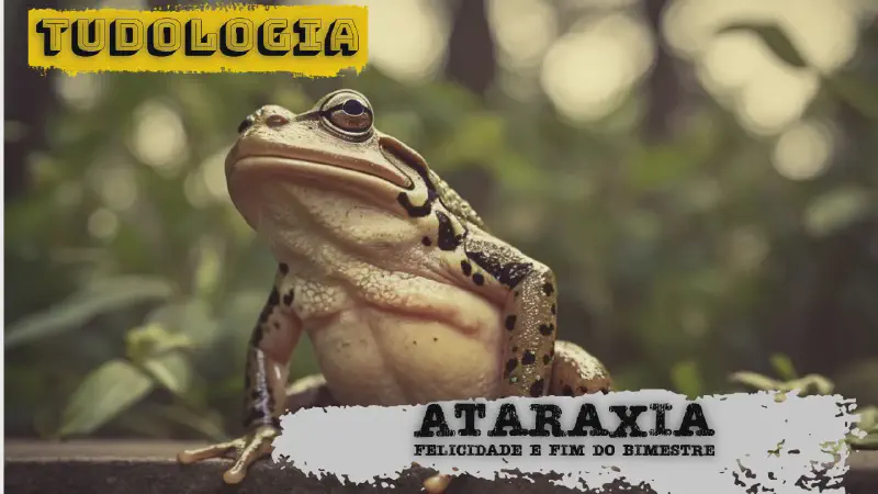Featured image of post Tudologia: Ataraxia de Demócrito, paz de espírito e espírito livre (mantra do "não brigo mais")
