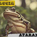 Tudologia: Ataraxia de Demócrito, paz de espírito e espírito livre (mantra do "não brigo mais")
