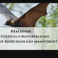 Ontologia e Materialismo: Contra Irracionalismo, de um lado, e Ceticismo Conservador, de outro
