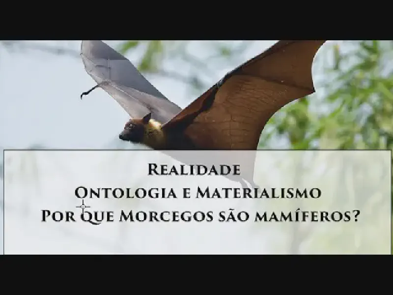 Featured image of post Ontologia e Materialismo: Contra Irracionalismo, de um lado, e Ceticismo Conservador, de outro
