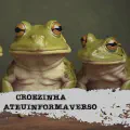 RESPOSTA À CROEZINHA: O MELHOR VÍDEO QUE EU VI NOS ÚLTIMOS TEMPOS
