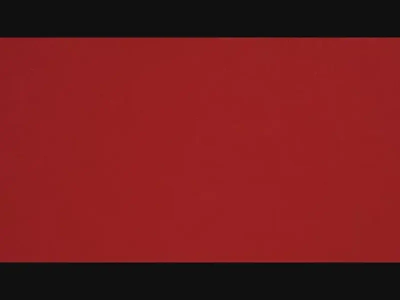 Featured image of post Mentira, Ineficiência, Coloridos de Hong Kong e Democracia
