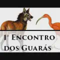 Encontro dos Guarás: Bate-papo sobre Razão, Crise de Saúde e Greve dos Caminhoneiros
