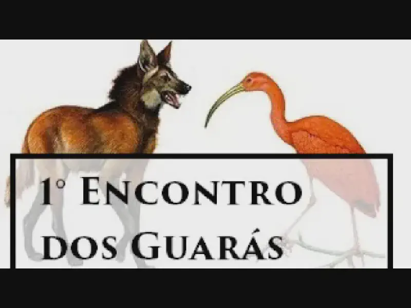Featured image of post Encontro dos Guarás: Bate-papo sobre Razão, Crise de Saúde e Greve dos Caminhoneiros
