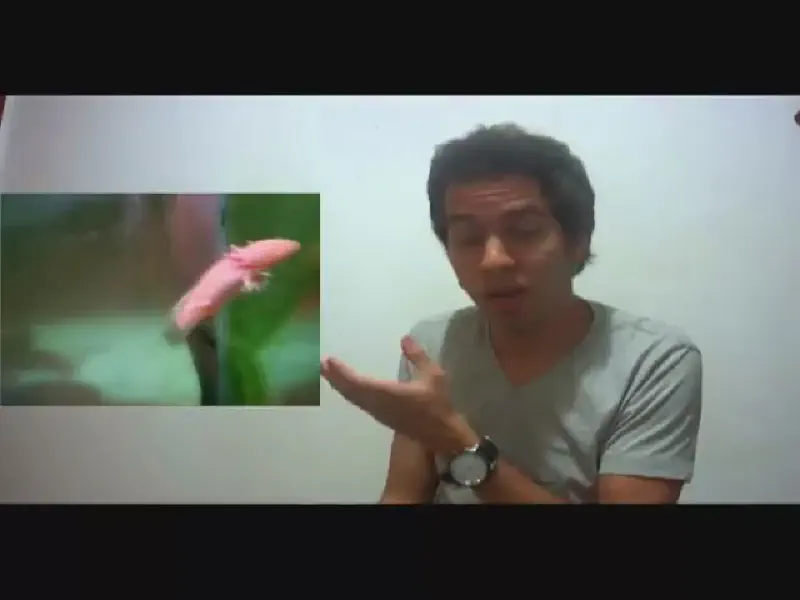 Featured image of post Ateu Informa: Detonando "O Elo perdido"
