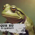 Especial de Férias: Linck do QnS é um Nitzchenano do Bem - E vocês sabiam que eu componho música?
