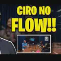 Ciro Gomes no Flow e Democracia Direta: breve comentário
