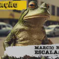 Reação a Marcio Rolim sobre escala 6x1: Um canal que eu tenho amado conhecer
